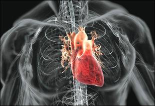 Սիրտ-անոթային հիվանդությունները